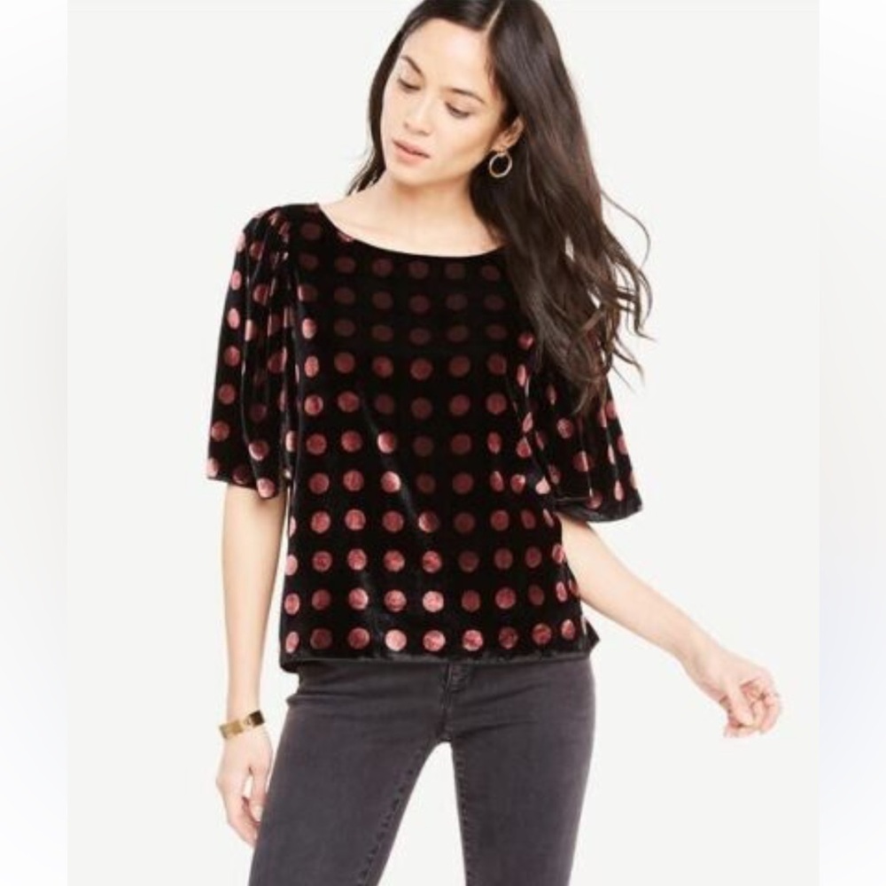 ANN TAYLOR PETITE Black Pink Velvet Dotted Puff Sleeve Top SP